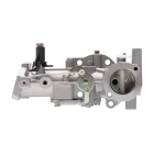 Vergaser für Briggs & Stratton Motoren 5,0 PS (OEM 498298 692784 495951 495426 490533)