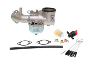 Vergaser für Briggs & Stratton-Motoren (OEM 491031 490499 491026 281707)