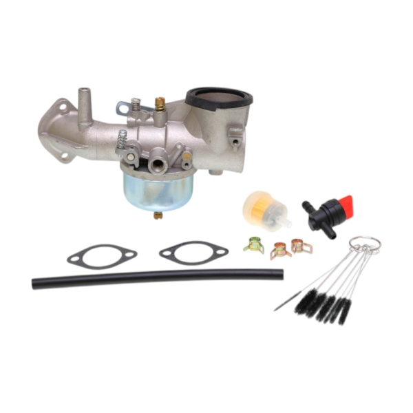 Vergaser für Briggs & Stratton-Motoren (OEM 491031 490499 491026 281707)