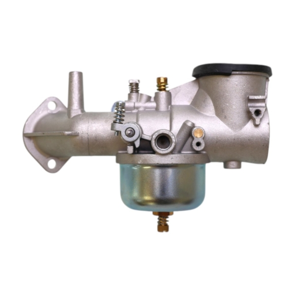 Vergaser für Briggs & Stratton-Motoren (OEM 491031 490499 491026 281707)