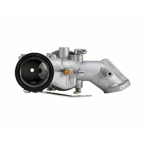 Vergaser für Briggs & Stratton-Motoren (OEM 491031 490499 491026 281707)