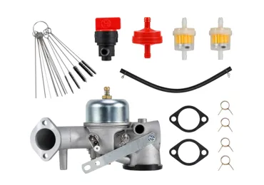 Vergaser für Briggs & Stratton-Motoren (OEM 491031 490499 491026 281707)