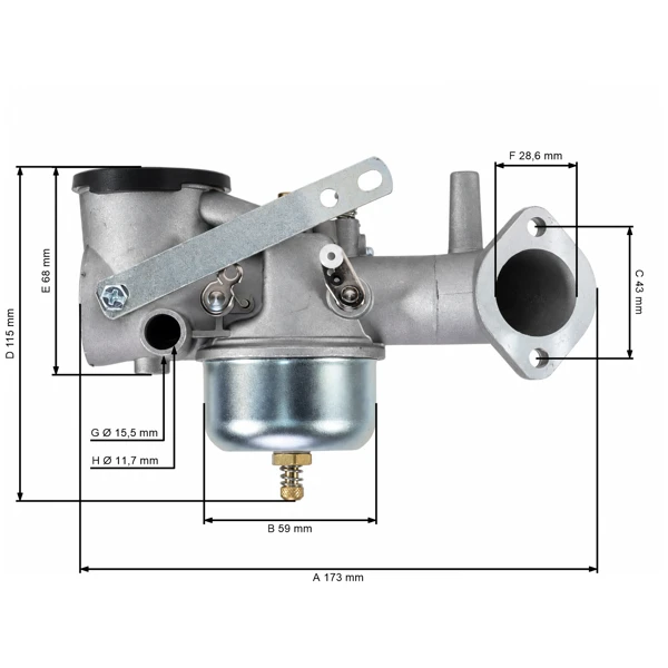 Vergaser für Briggs & Stratton-Motoren (OEM 491031 490499 491026 281707)