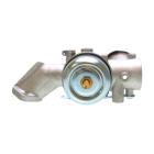 Vergaser für Briggs & Stratton-Motoren (OEM 491031 490499 491026 281707)
