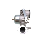 Vergaser für Briggs & Stratton-Motoren (OEM 491031 490499 491026 281707)