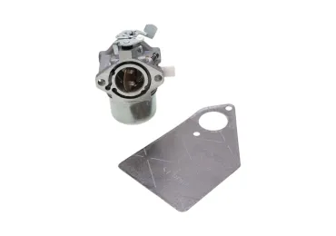 Vergaser für Briggs & Stratton Motoren (OEM 494883 495778 497581 495782)
