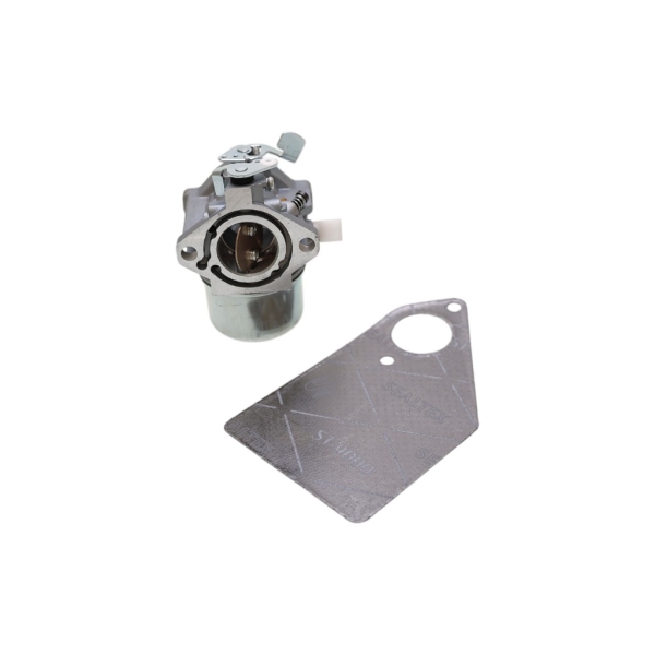 Vergaser für Briggs & Stratton Motoren (OEM 494883 495778 497581 495782)