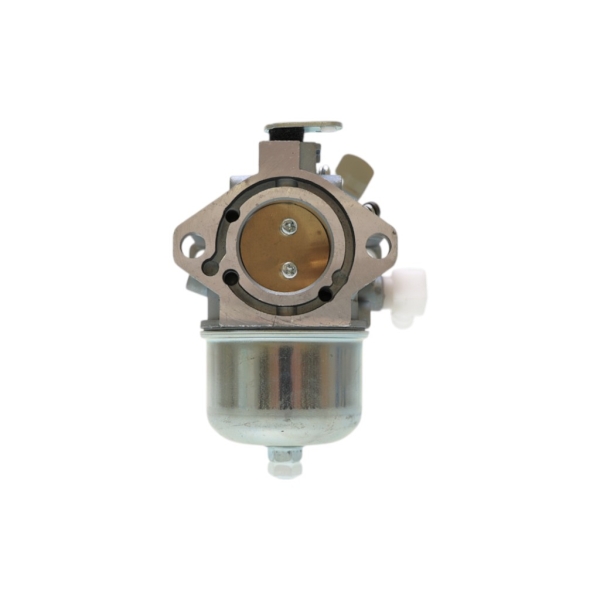 Vergaser für Briggs & Stratton Motoren (OEM 494883 495778 497581 495782)