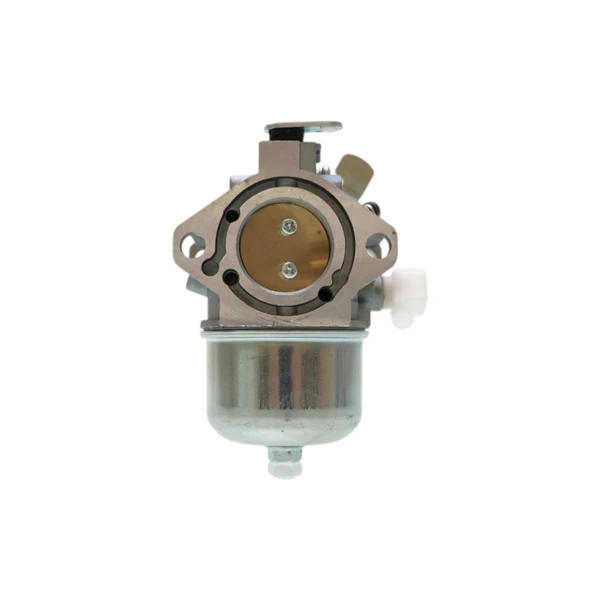 Vergaser für Briggs & Stratton Motoren (OEM 494883 495778 497581 495782)