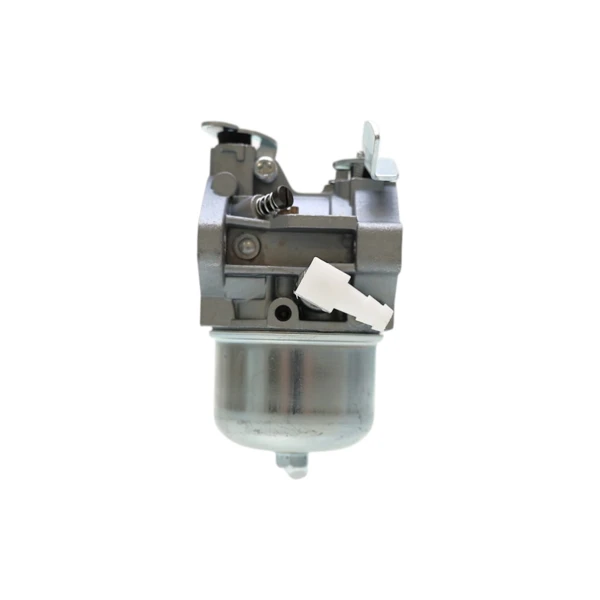 Vergaser für Briggs & Stratton Motoren (OEM 494883 495778 497581 495782)