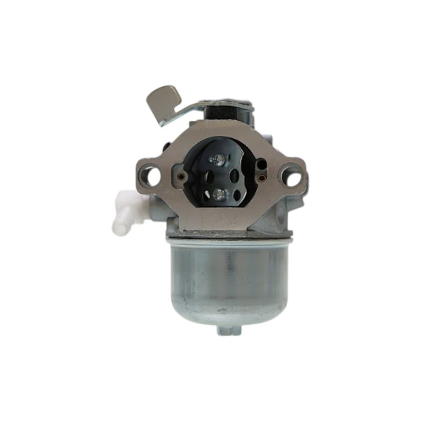 Vergaser für Briggs & Stratton Motoren (OEM 494883 495778 497581 495782)
