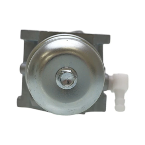 Vergaser für Briggs & Stratton Motoren (OEM 494883 495778 497581 495782)