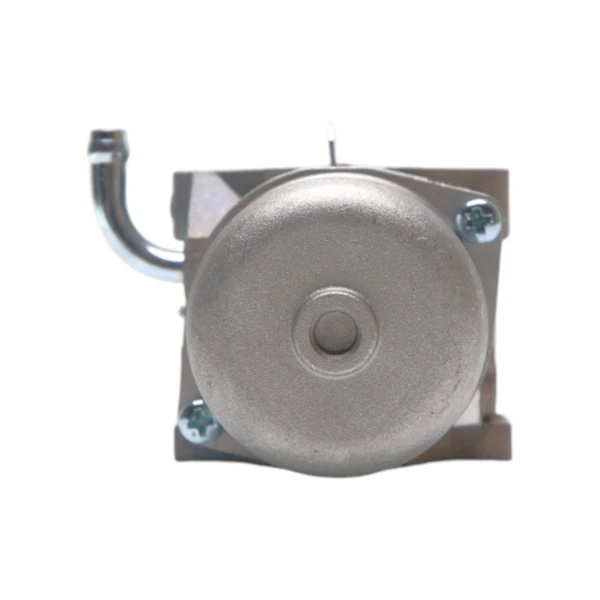 Vergaser für Briggs & Stratton Motoren (OEM 590399 796077 593432)