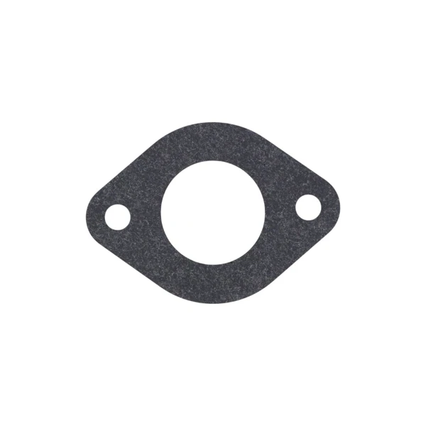 Vergaser für Briggs & Stratton-Motoren (OEM 591678 589669822)