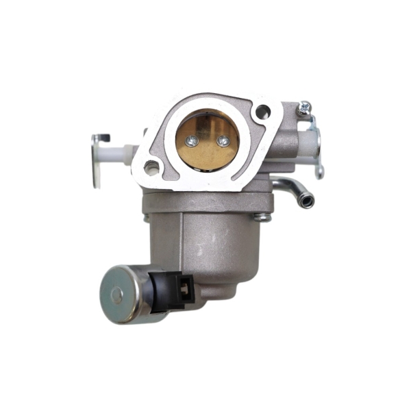 Vergaser für Briggs & Stratton-Motoren (OEM 591678 589669822)