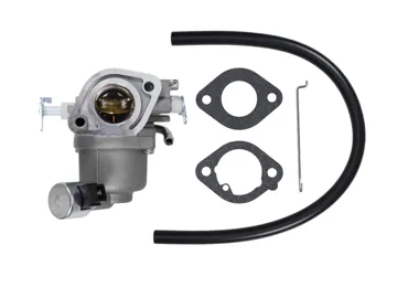 Vergaser für Briggs & Stratton-Motoren (OEM 591678 589669822)