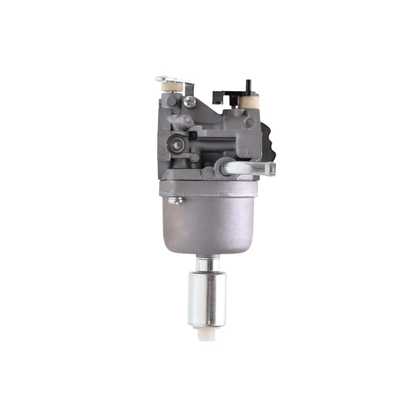 Vergaser für Briggs & Stratton Motoren (OEM 591731 796109 594593 590400 796078 498811 794161 795477 4u8 - 31H777 - 796109)