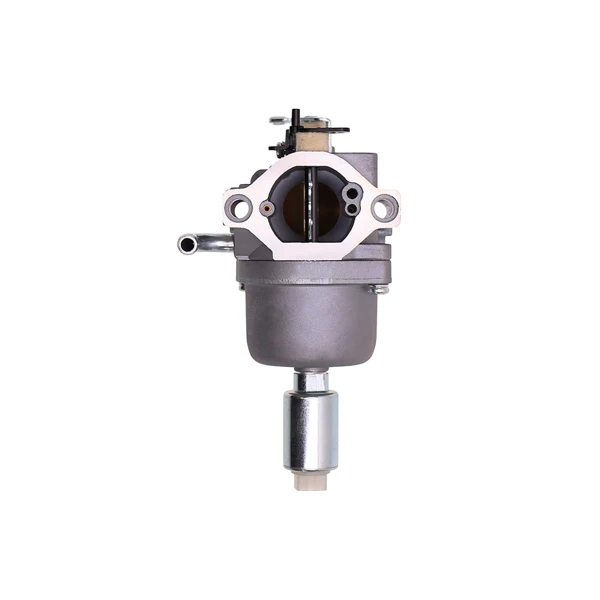 Vergaser für Briggs & Stratton Motoren (OEM 591731 796109 594593 590400 796078 498811 794161 795477 4u8 - 31H777 - 796109)