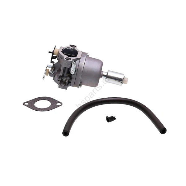 Vergaser für Briggs & Stratton Motoren (OEM 591731 796109 594593 590400 796078 498811 794161 795477 4u8 - 31H777 - 796109)