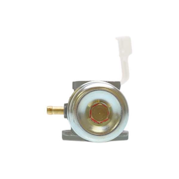 Vergaser für Briggs & Stratton-Motoren (OEM 694203 690152 121612 122602)