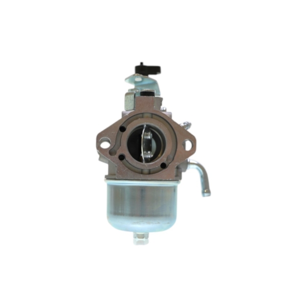 Vergaser für Briggs & Stratton Motoren (OEM 715782 715783 715525 715494 715390 715524 715493 715380)