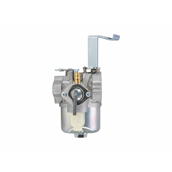 Vergaser für Briggs & Stratton Motoren (OEM 796447 122332 122336 122337 122352)