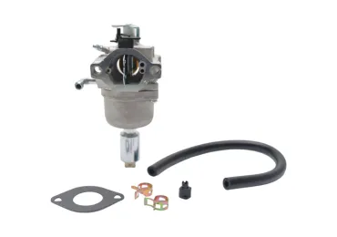 Vergaser für Briggs & Stratton-Motoren (OEM 796587 591736 594601)