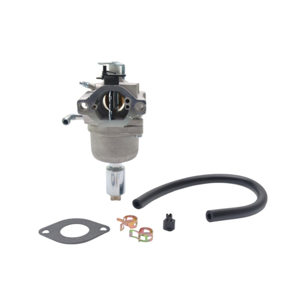 Vergaser für Briggs & Stratton-Motoren (OEM 796587 591736 594601)