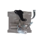 Vergaser für Briggs & Stratton-Motoren (OEM 796587 591736 594601)