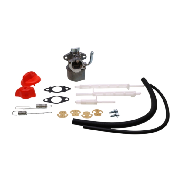 Vergaser für Briggs & Stratton Motoren (OEM 798917 695727 790558 791292 791953 794587)
