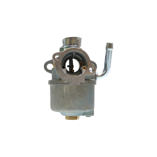 Vergaser für Briggs & Stratton Motoren (OEM 798917 695727 790558 791292 791953 794587)