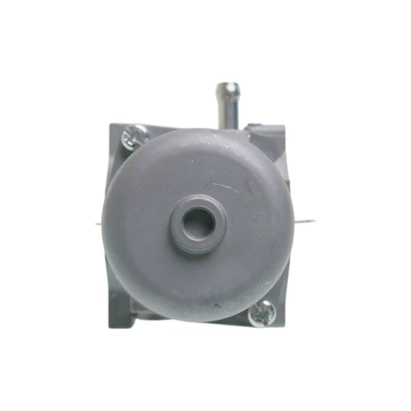 Vergaser für Briggs & Stratton Motoren (OEM 799728 498027 495706 494502 494392 498134 499161 496592 498231 286702 286707)
