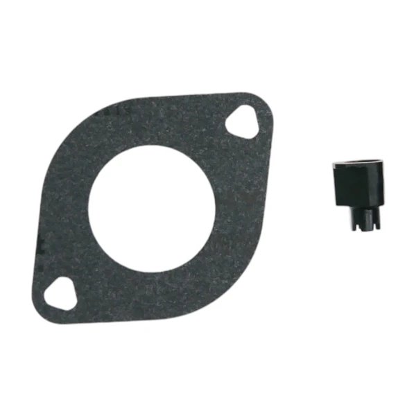Vergaser für Briggs & Stratton Motoren (OEM 799728 498027 495706 494502 494392 498134 499161 496592 498231 286702 286707)