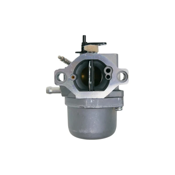 Vergaser für Briggs & Stratton Motoren (OEM 799728 498027 495706 494502 494392 498134 499161 496592 498231 286702 286707)