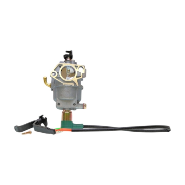 Vergaser für Briggs & Stratton-Motoren (OEM 799773 797758)