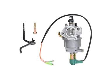 Vergaser für Briggs & Stratton-Motoren (OEM 799773 797758)