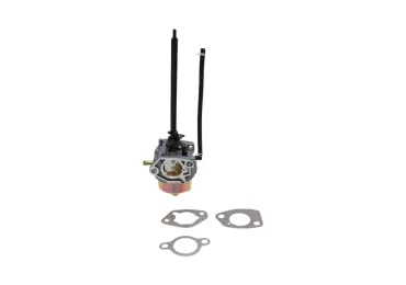 Vergaser für Briggs & Stratton Motoren (OEM 799802)