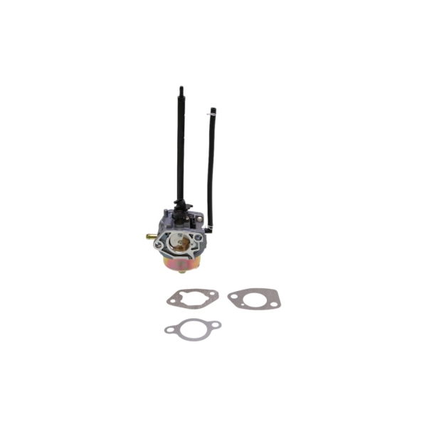Vergaser für Briggs & Stratton Motoren (OEM 799802)