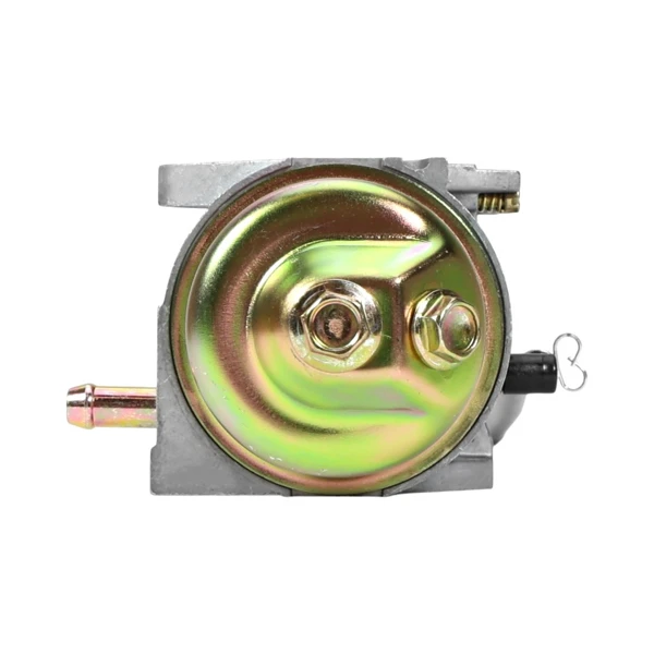 Vergaser für Briggs & Stratton Motoren (OEM 799802)