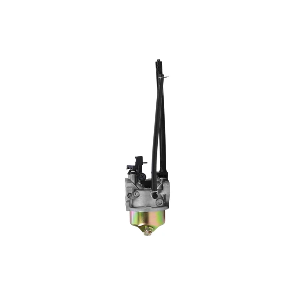 Vergaser für Briggs & Stratton Motoren (OEM 799802)