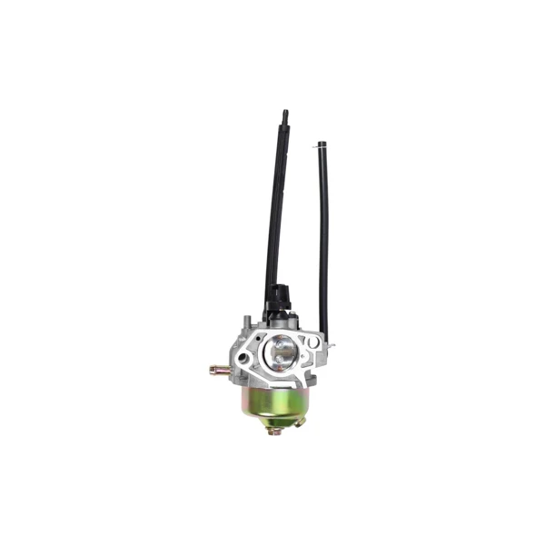 Vergaser für Briggs & Stratton Motoren (OEM 799802)