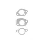 Vergaser für Briggs & Stratton Motoren (OEM 799802)