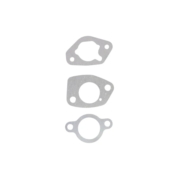 Vergaser für Briggs & Stratton Motoren (OEM 799802)