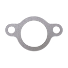 Vergaser für Briggs & Stratton Motoren (OEM 799802)