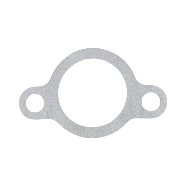 Vergaser für Briggs & Stratton Motoren (OEM 799802)