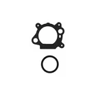 Vergaser für Briggs & Stratton Motoren (OEM 799868 14111 497586 498170 498254 497314 497347 694202 693909 692648 799872 790821 498255)