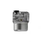 Vergaser für Briggs & Stratton Motoren (OEM 799868 14111 497586 498170 498254 497314 497347 694202 693909 692648 799872 790821 498255)