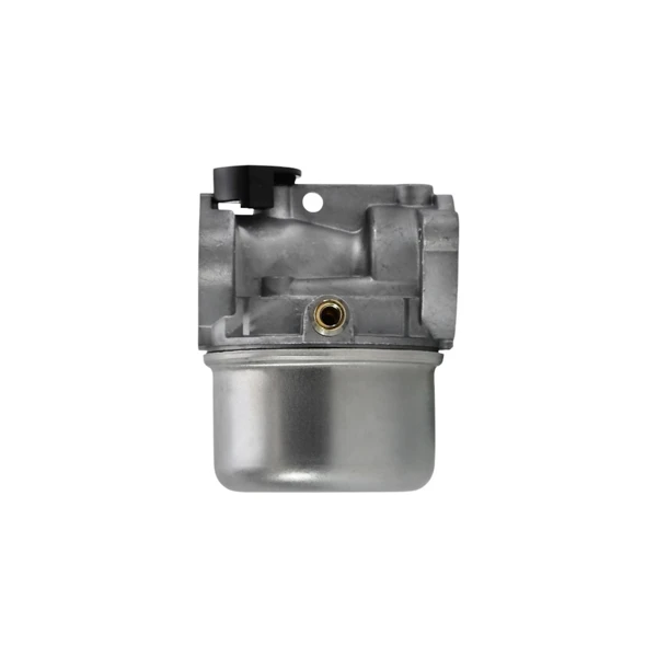 Vergaser für Briggs & Stratton Motoren (OEM 799868 14111 497586 498170 498254 497314 497347 694202 693909 692648 799872 790821 498255)