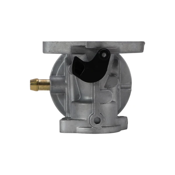 Vergaser für Briggs & Stratton Motoren (OEM 799868 14111 497586 498170 498254 497314 497347 694202 693909 692648 799872 790821 498255)