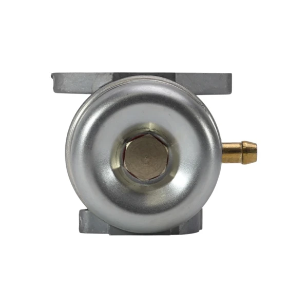 Vergaser für Briggs & Stratton Motoren (OEM 799868 14111 497586 498170 498254 497314 497347 694202 693909 692648 799872 790821 498255)